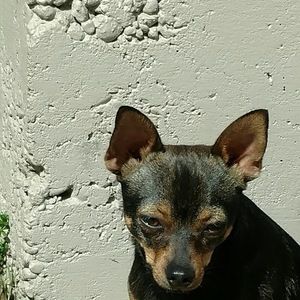 Meet your Posher, Denise